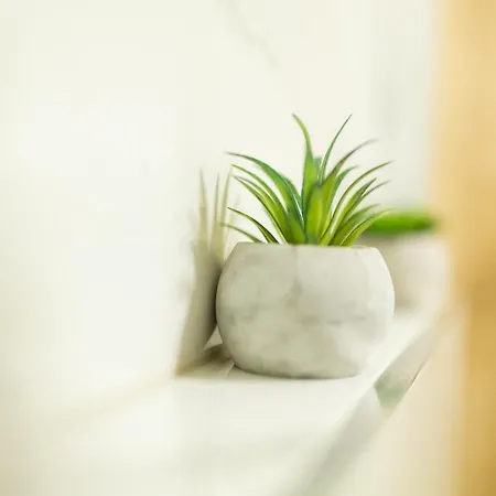 Kolura Apartment *