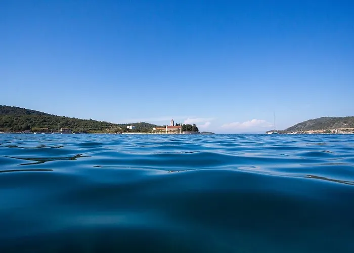 Kolura * Vis